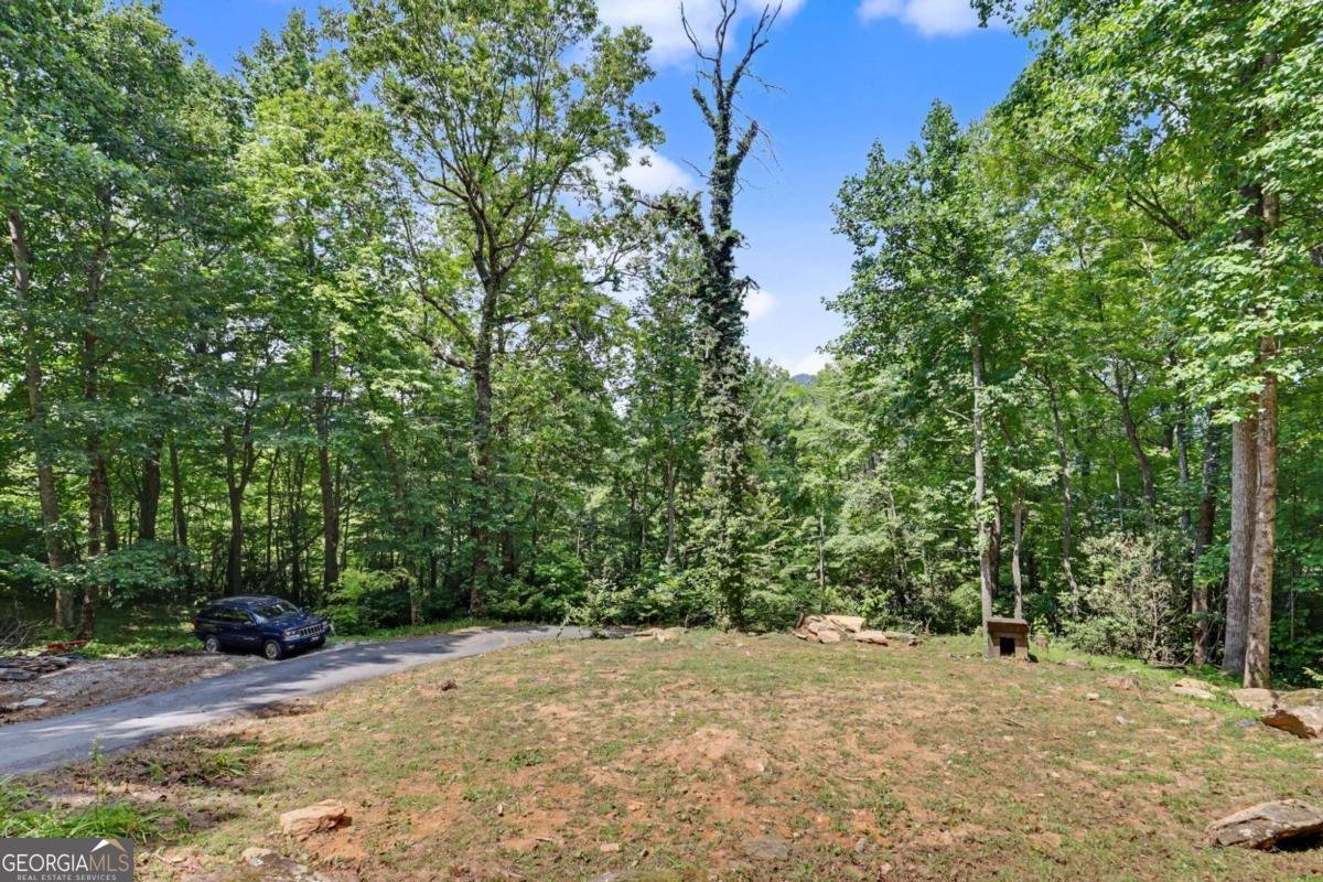 574 Bachelors Button Drive Clayton - Photo 12