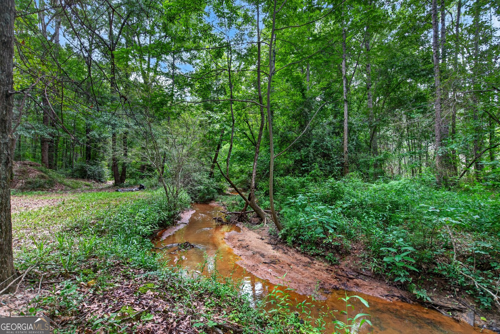 697 John Lovelace Road Lagrange - Photo 42