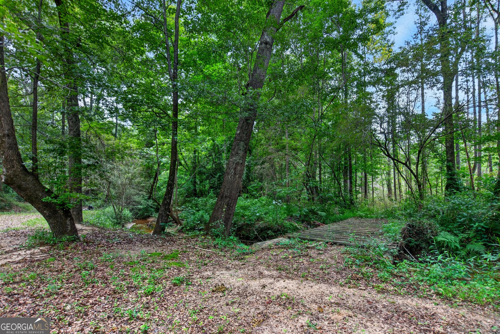 697 John Lovelace Road Lagrange - Photo 43