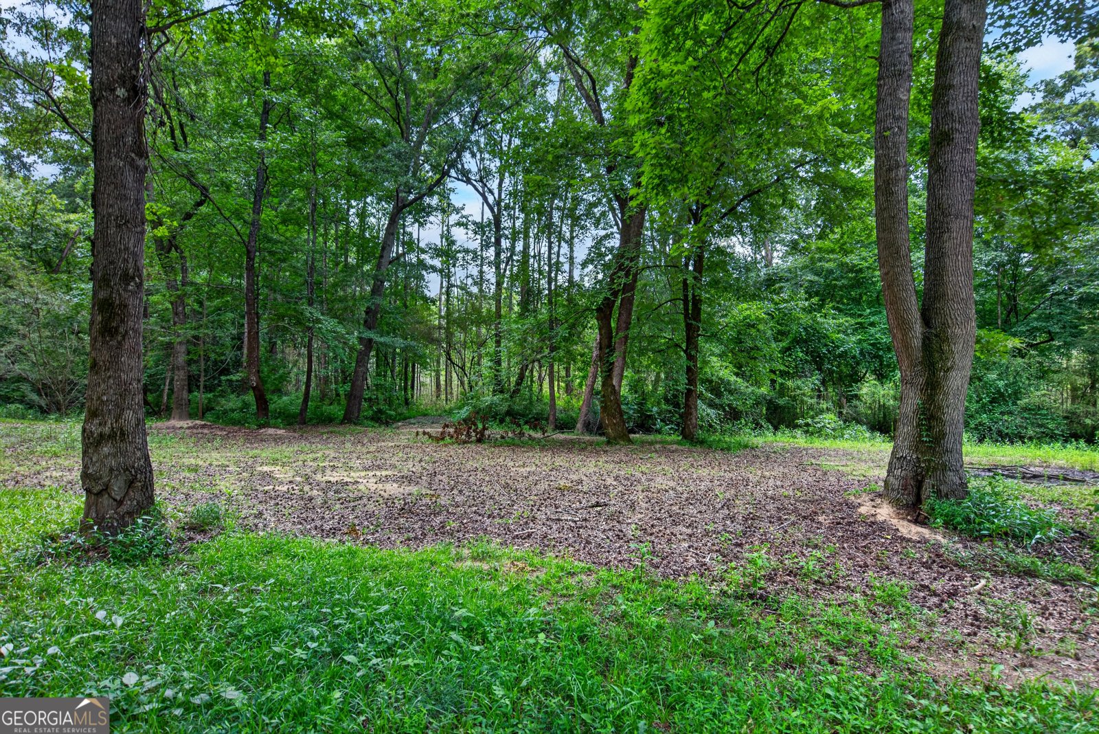697 John Lovelace Road Lagrange - Photo 44