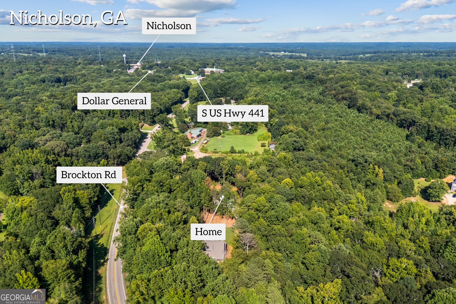 49 Treemont Drive Nicholson - Photo 73