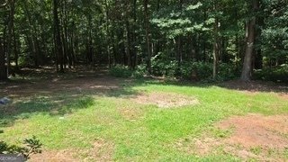 215 Ashley Trace Drive Locust Grove - Photo 6