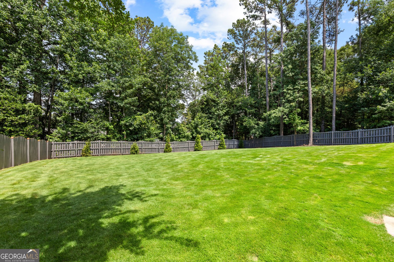 605 Spectrum Vista Peachtree City - Photo 58