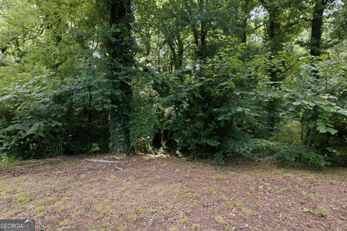 6135 Holiday Boulevard Forest Park - Photo 26