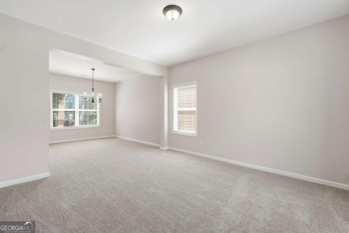2991 Olde Tabby Drive Douglasville - Photo 41