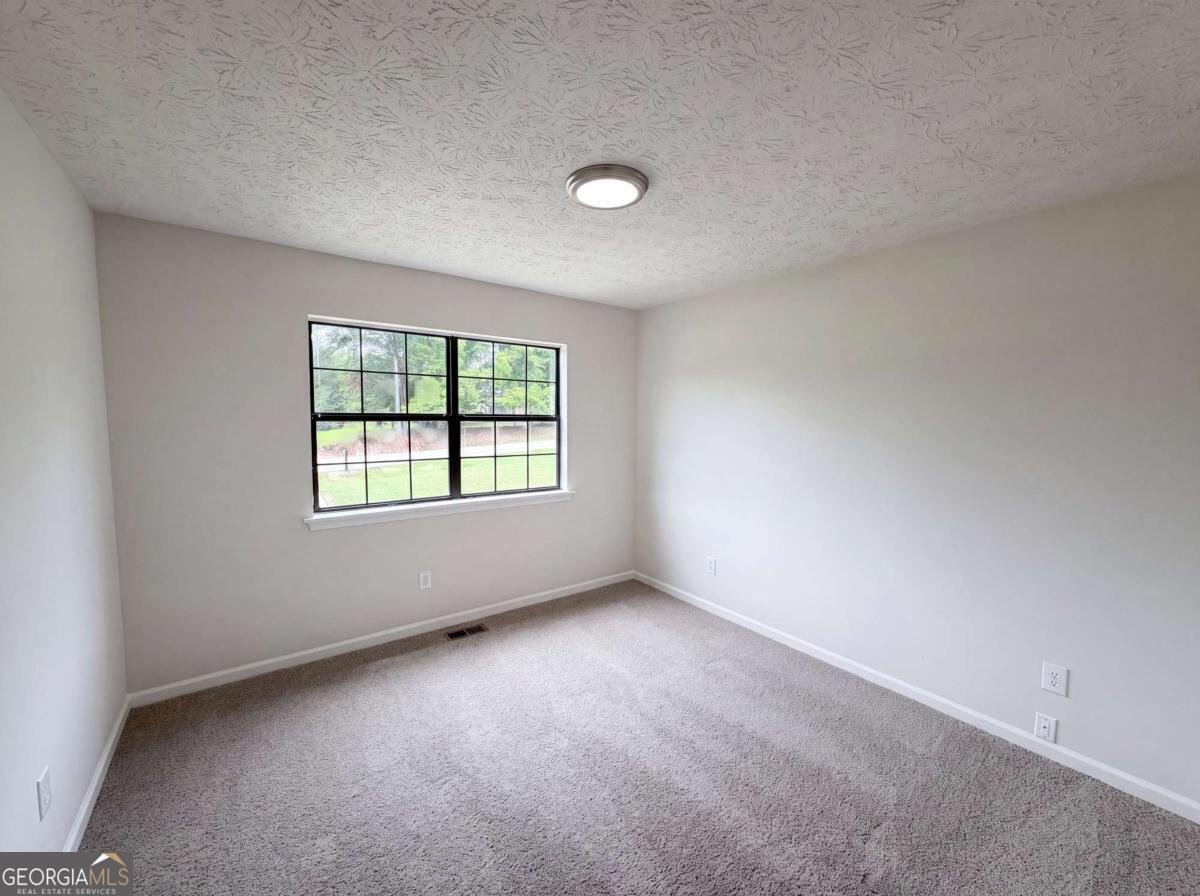 2021 Raymonds Drive Loganville - Photo 10