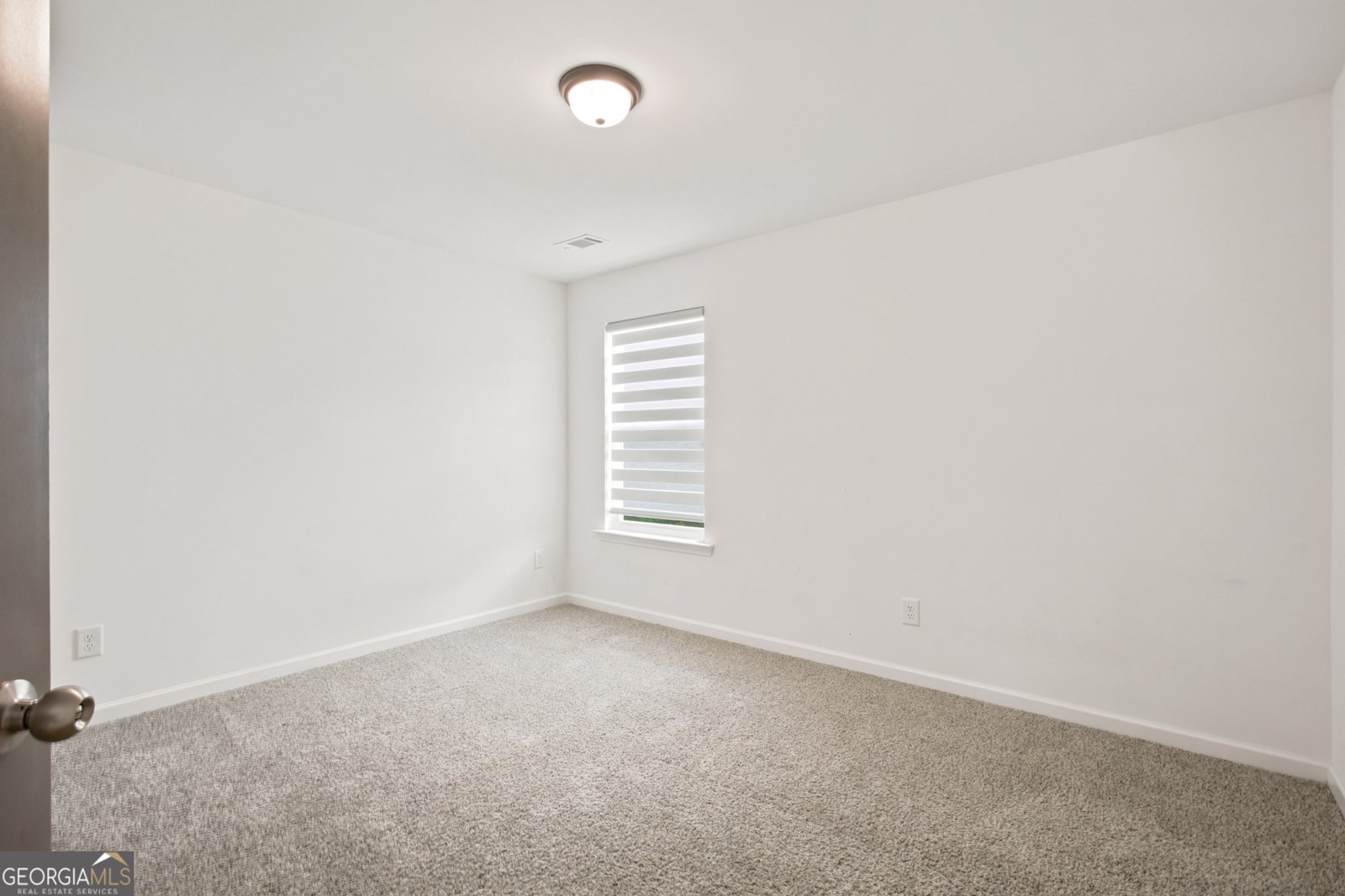 2965 Vinca Drive Buford - Photo 30