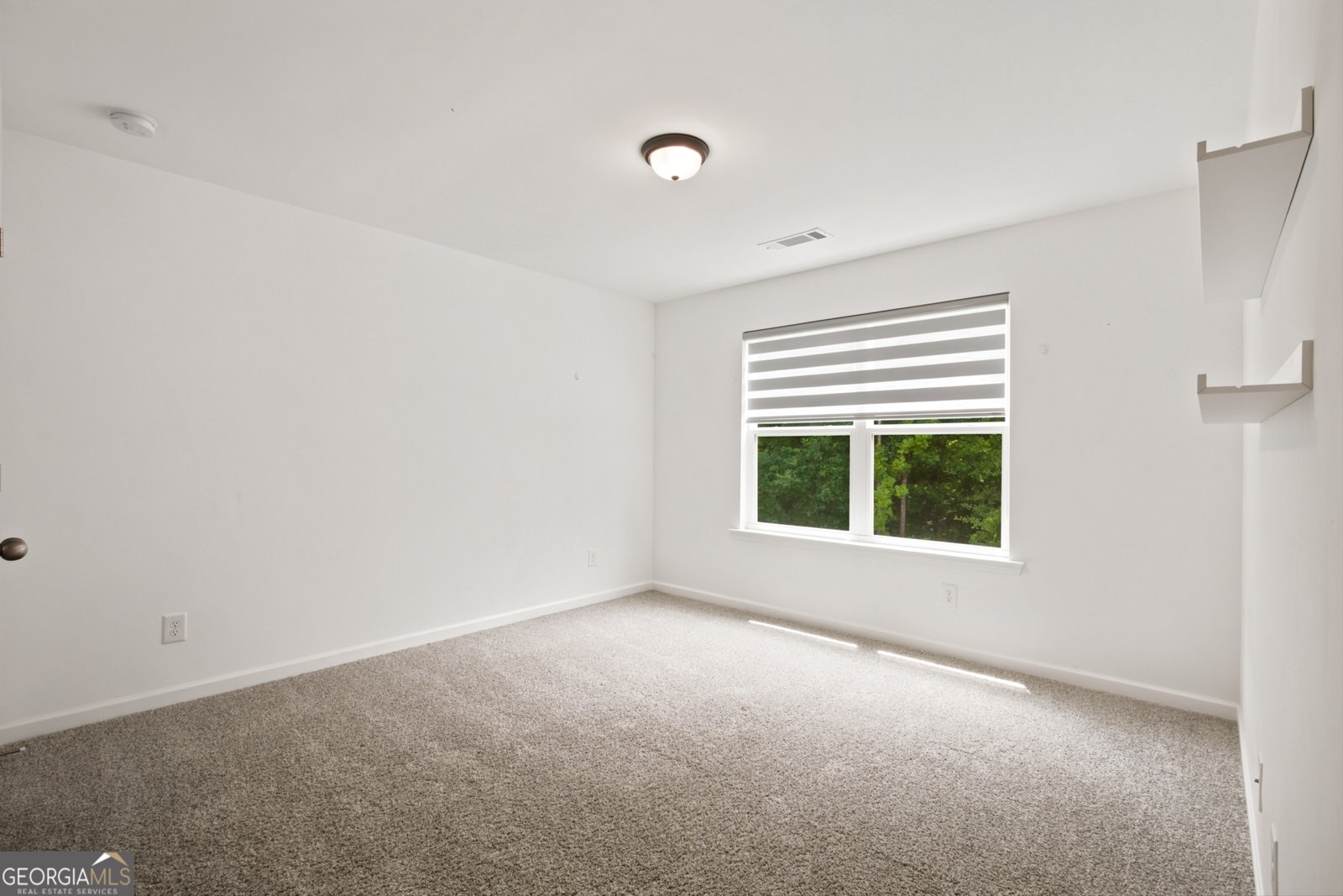 2965 Vinca Drive Buford - Photo 32