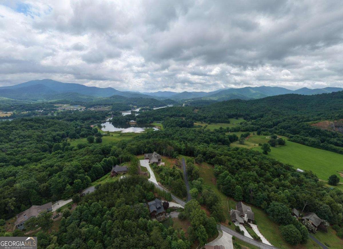 2368 Haven Heights Road Hiawassee - Photo 68