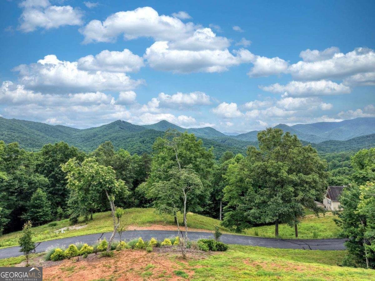 2368 Haven Heights Road Hiawassee - Photo 74