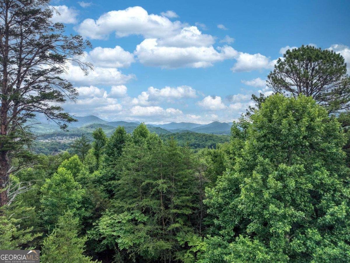 2368 Haven Heights Road Hiawassee - Photo 75