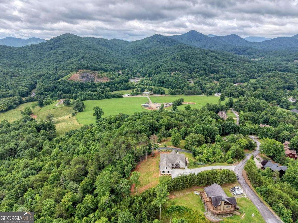 2368 Haven Heights Road Hiawassee - Photo 79