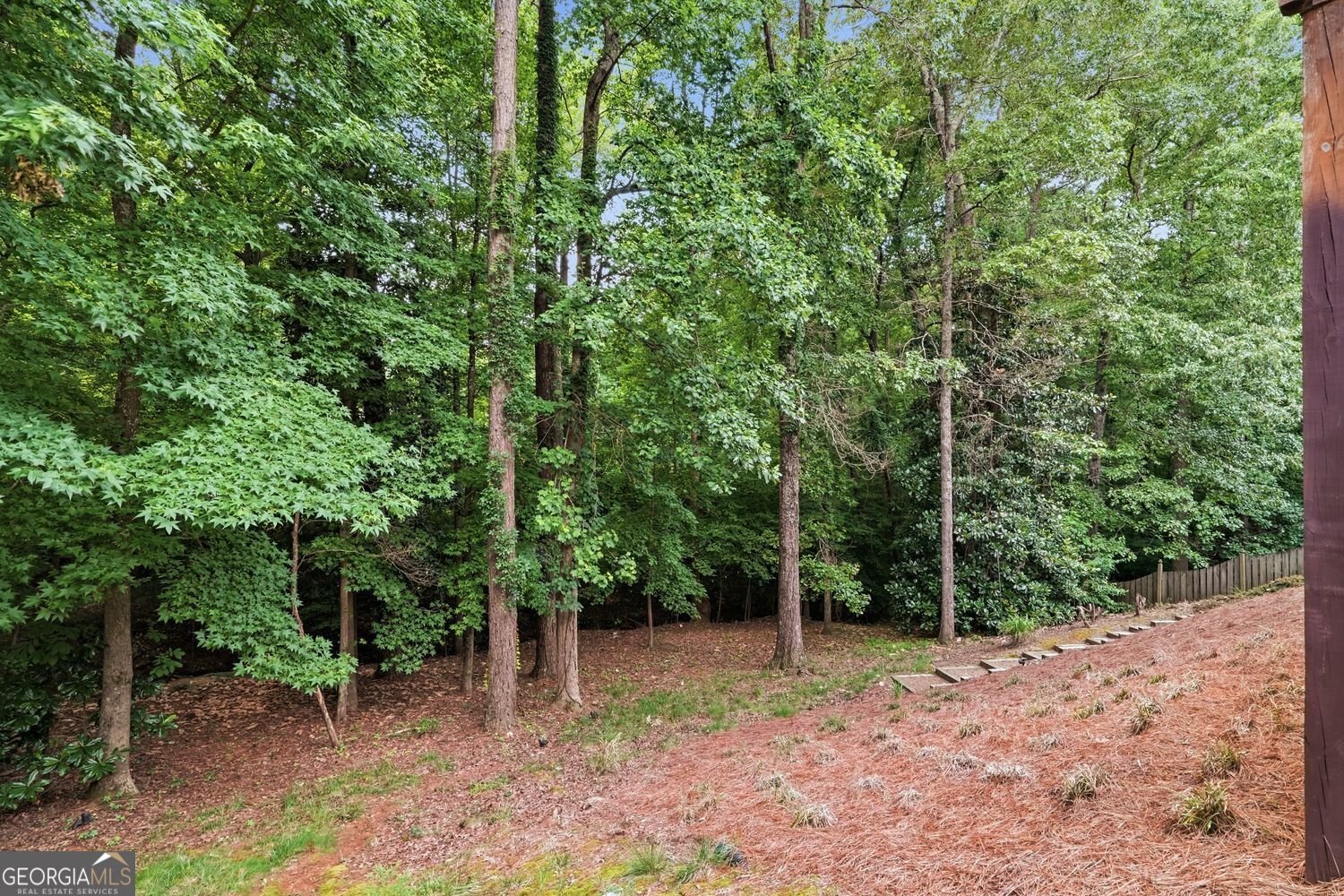 4319 White Hickory Lane Kennesaw - Photo 46