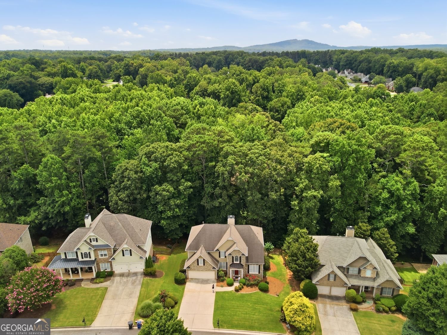 4319 White Hickory Lane Kennesaw - Photo 56