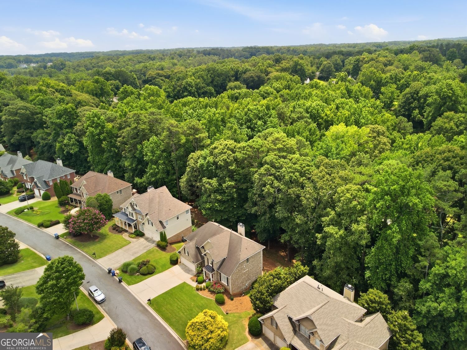 4319 White Hickory Lane Kennesaw - Photo 57