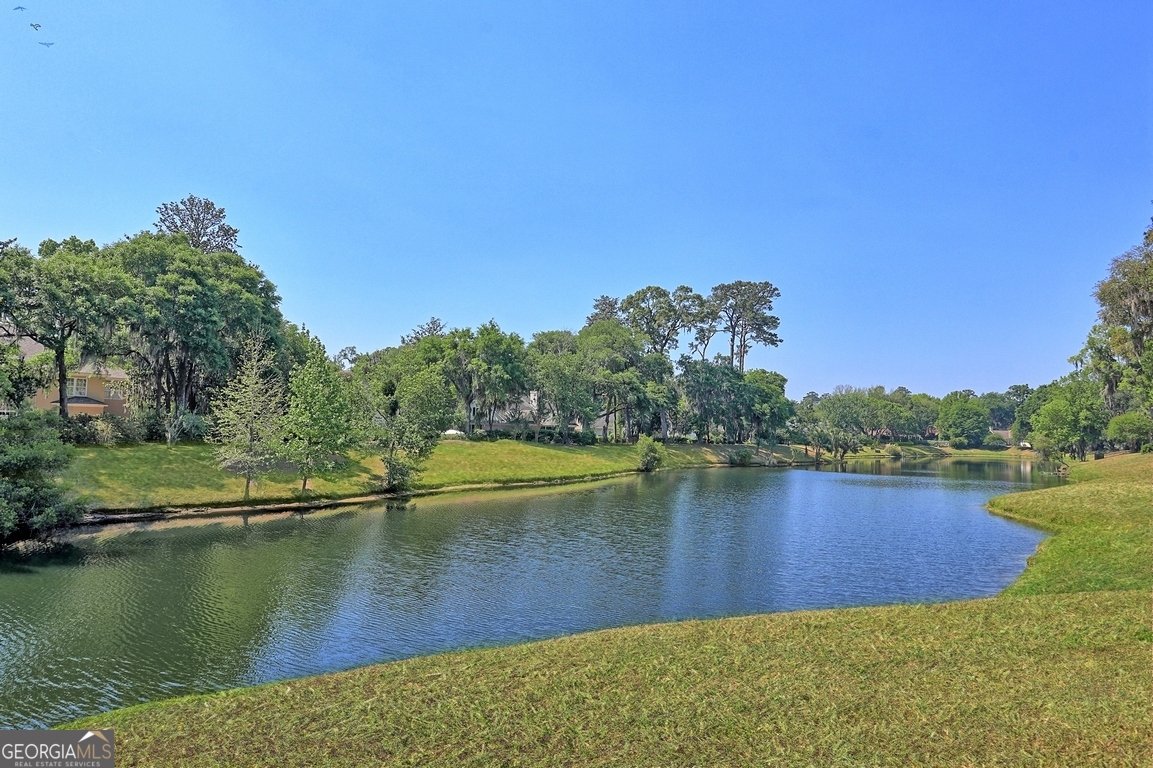 141 Grays Creek Drive Savannah - Photo 76
