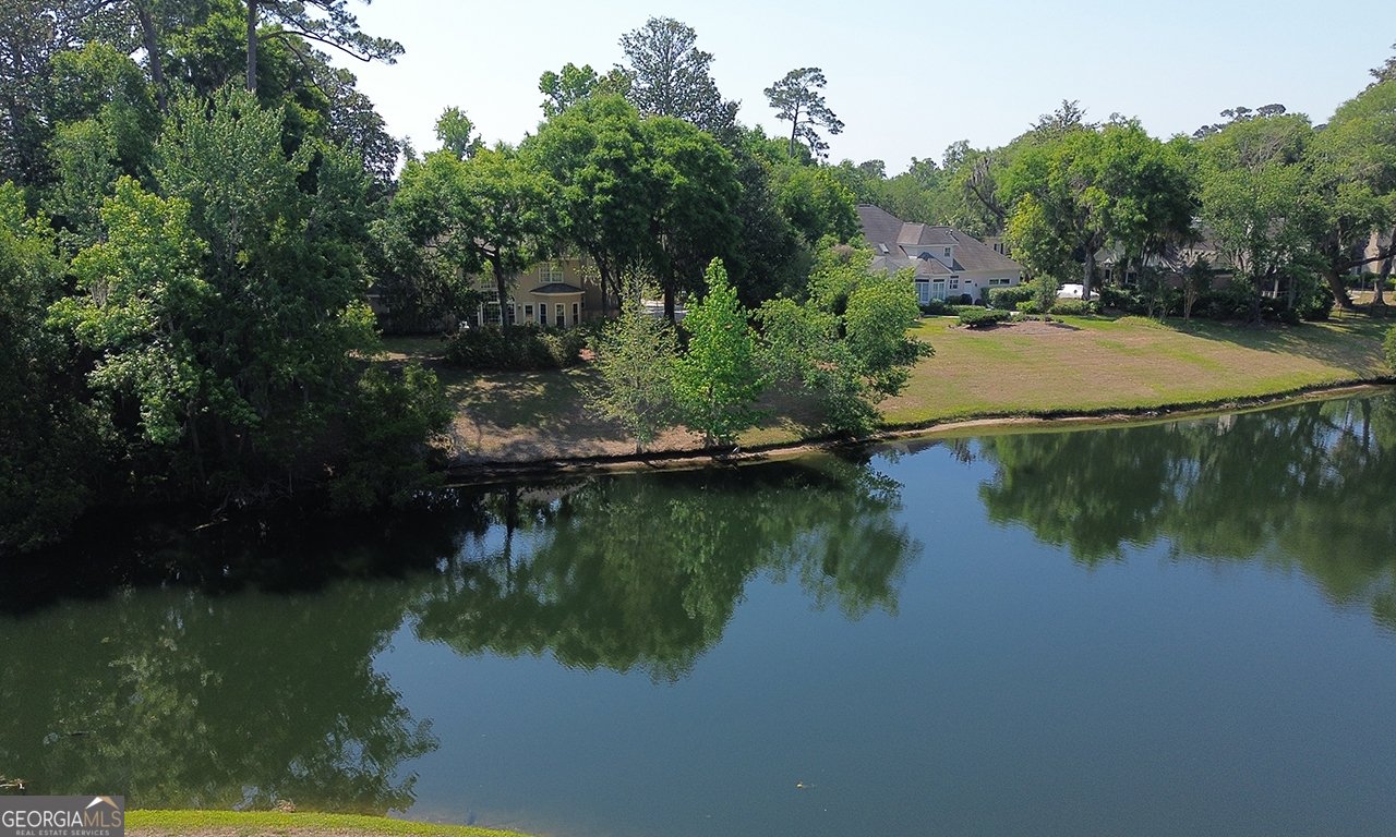 141 Grays Creek Drive Savannah - Photo 84