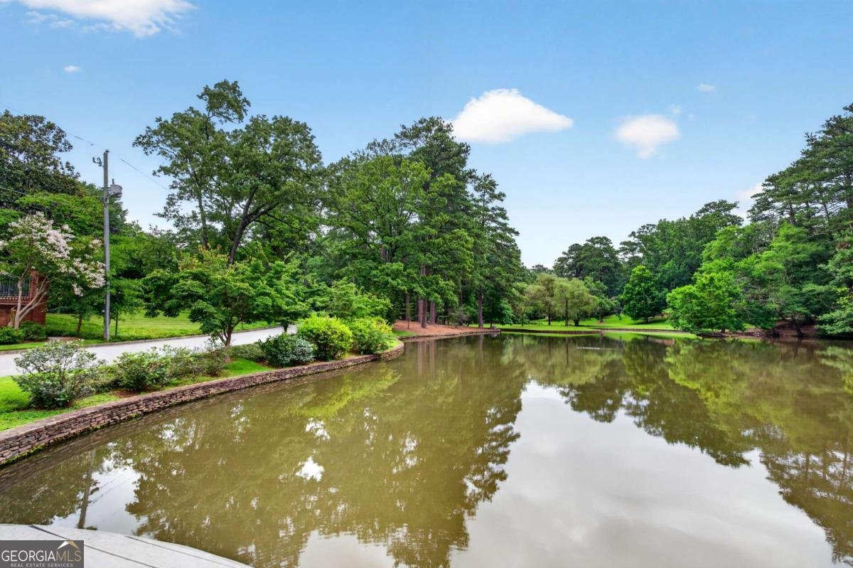 2499 Peachtree Road Atlanta - Photo 42