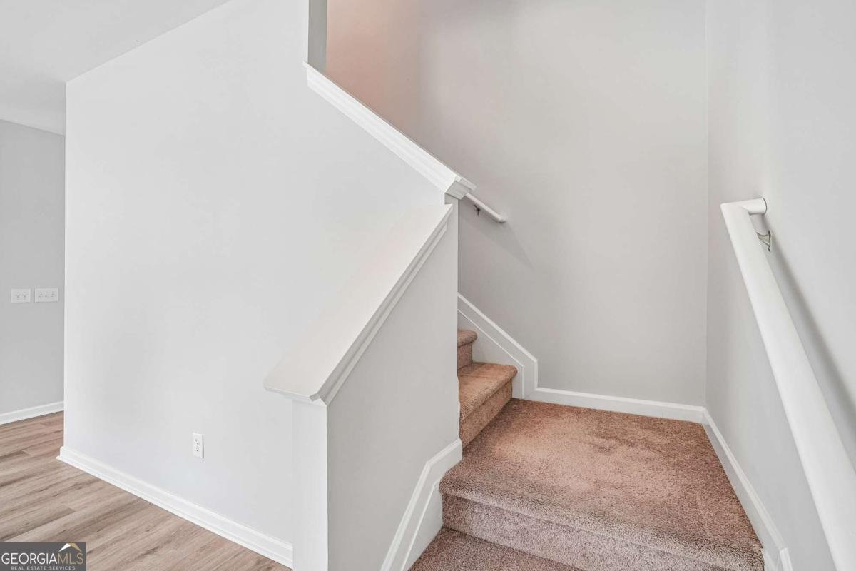 27 Tabasco Cat Court Cartersville - Photo 12