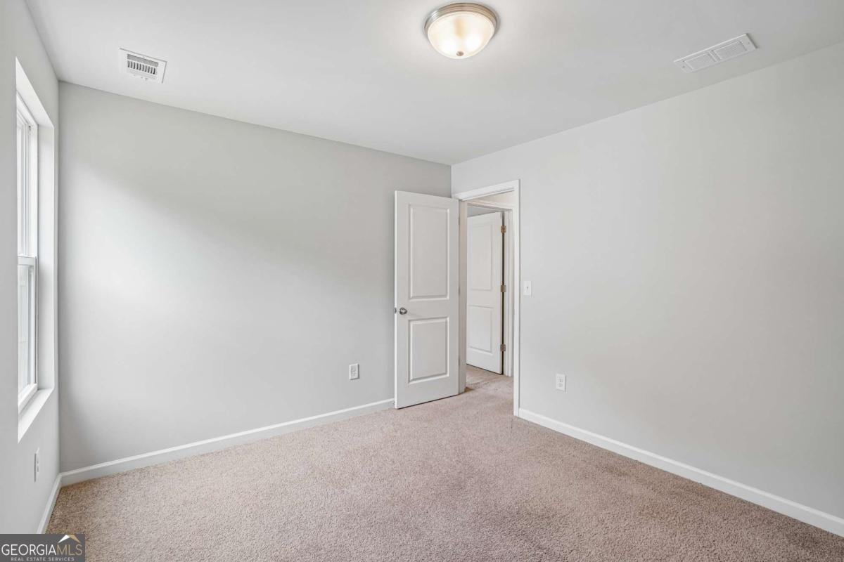 27 Tabasco Cat Court Cartersville - Photo 21