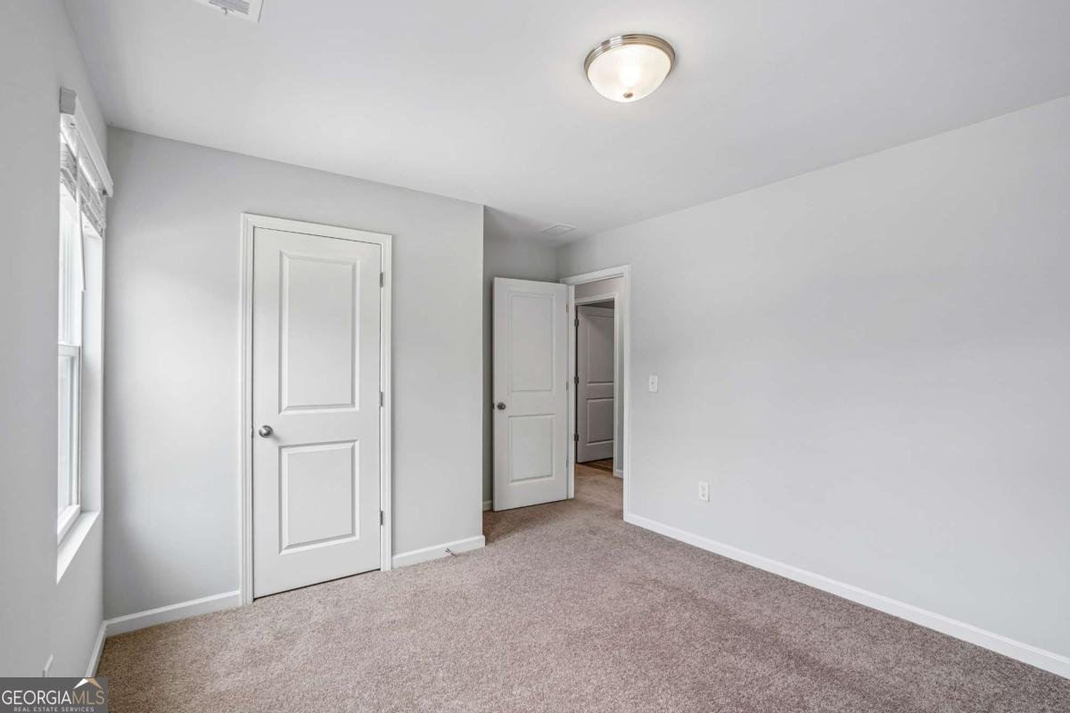 27 Tabasco Cat Court Cartersville - Photo 24