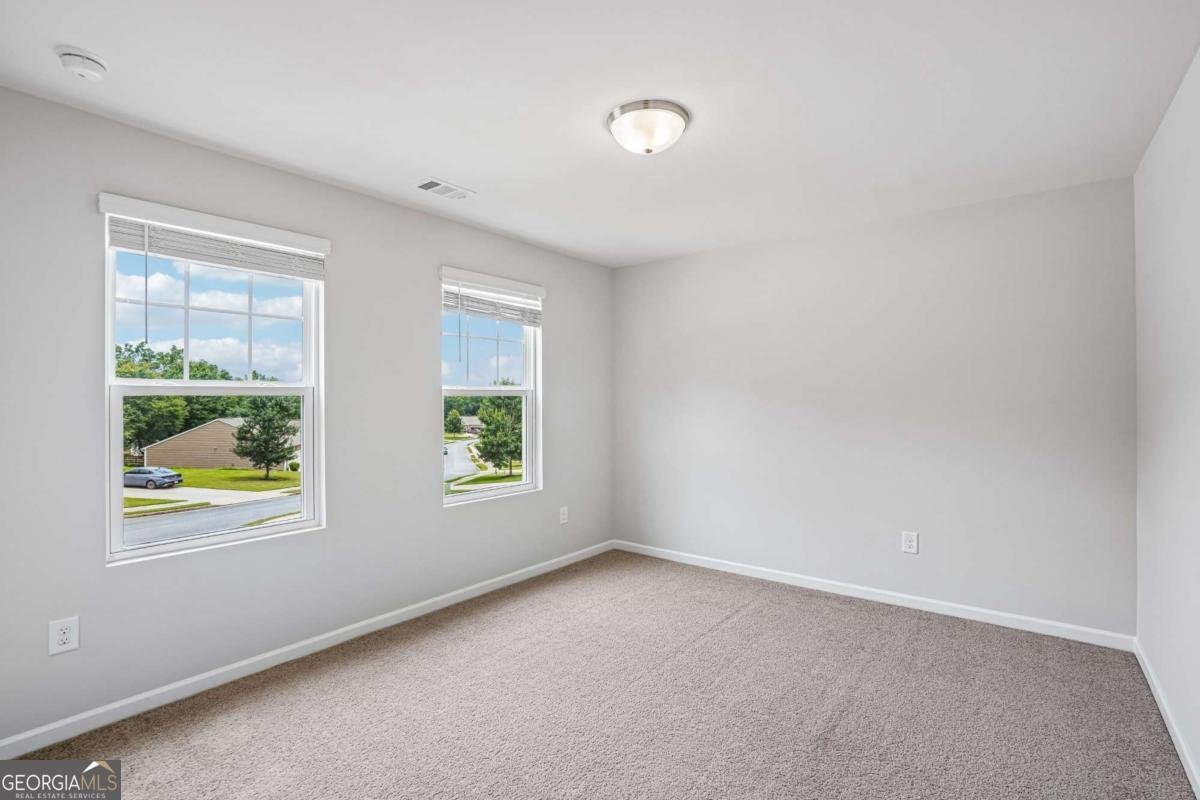 27 Tabasco Cat Court Cartersville - Photo 25