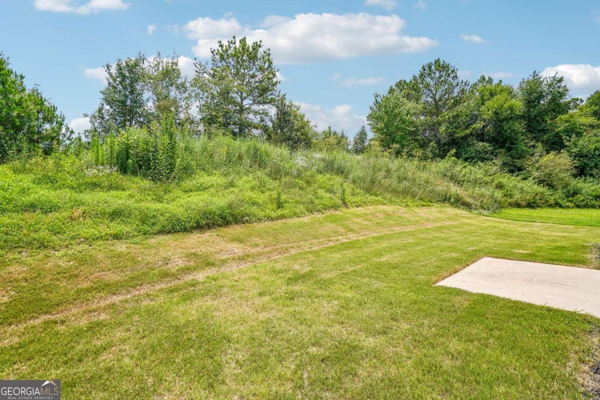 27 Tabasco Cat Court Cartersville - Photo 37