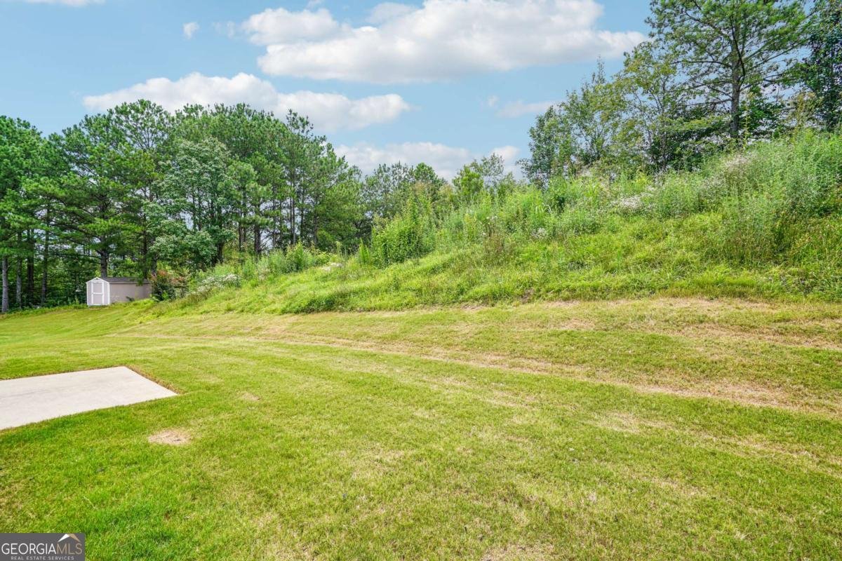 27 Tabasco Cat Court Cartersville - Photo 38