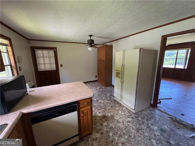 4541 Cavender Creek Road Dahlonega - Photo 11
