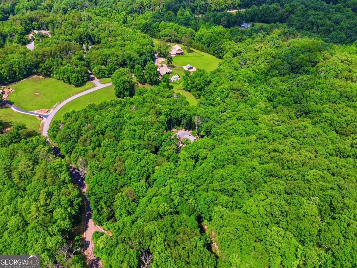 427 Greystone Trace Ellijay - Photo 72