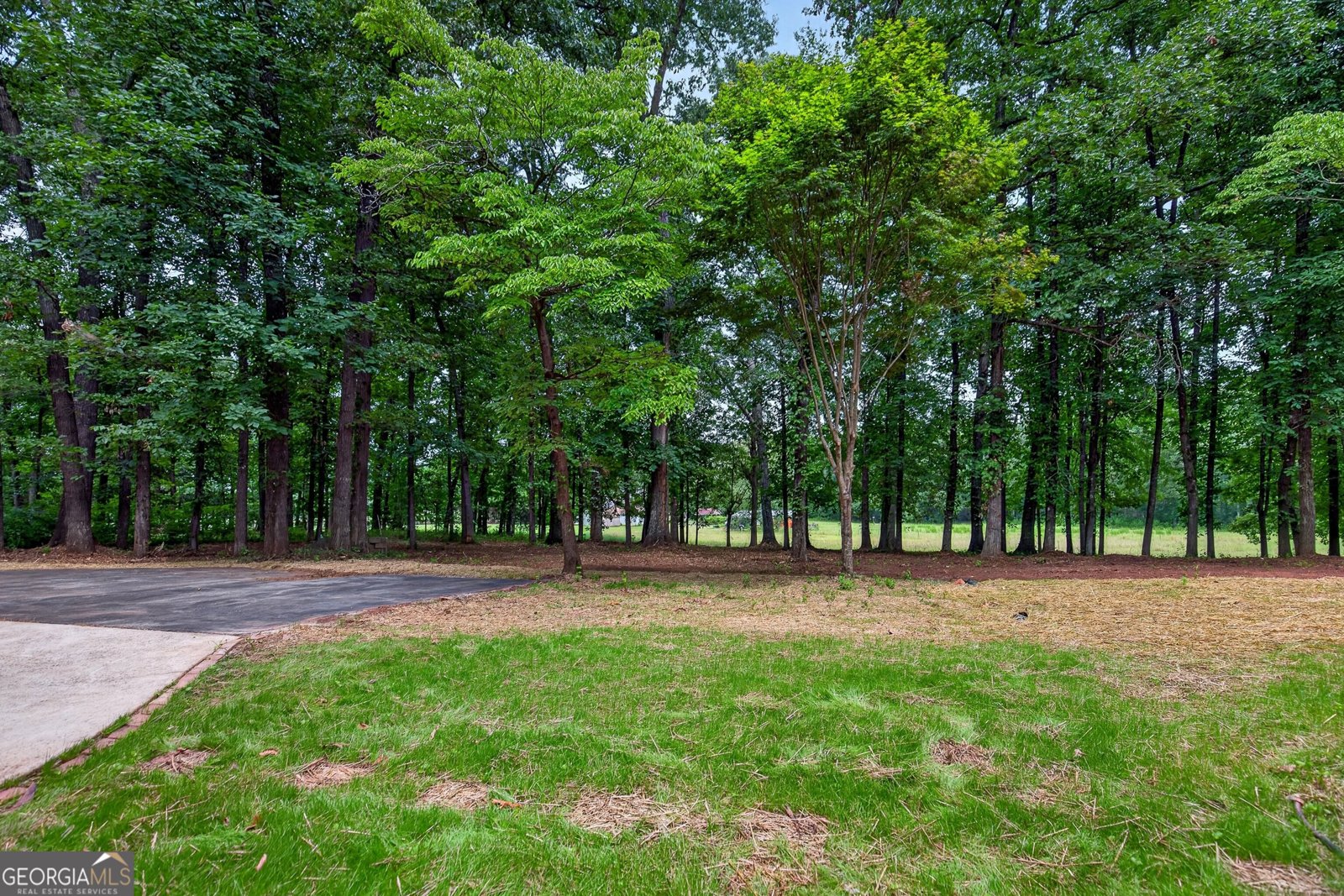 2134 Highway 92 Fayetteville - Photo 57