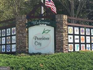 414 Deergrass Trail Peachtree City - Photo 48