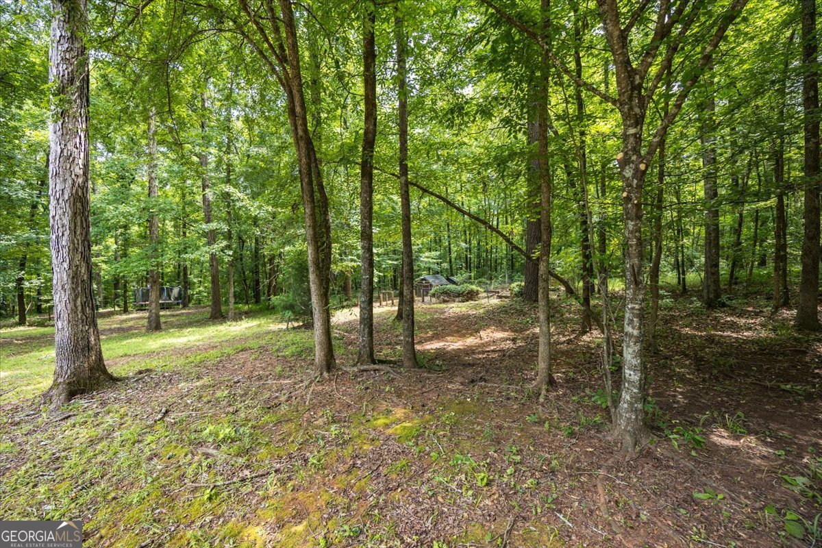 201 Manor Court Forsyth - Photo 29