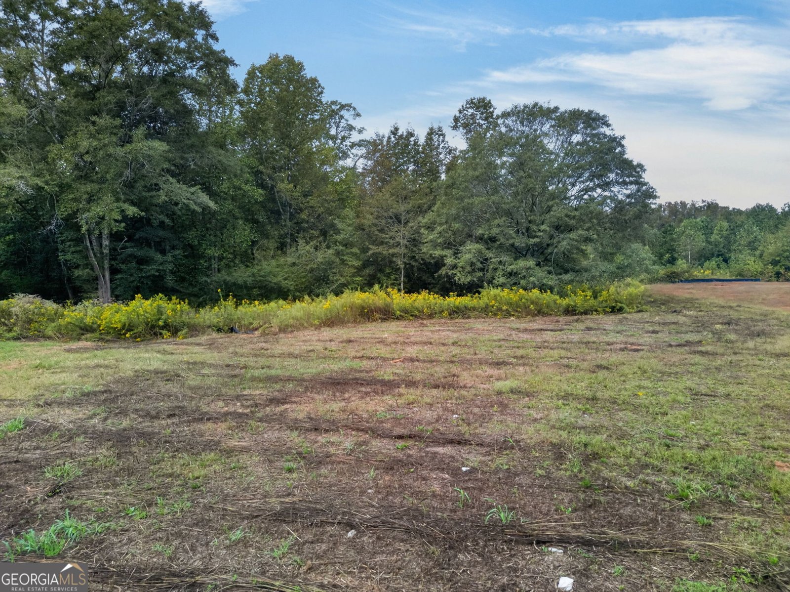 1737 Bethesda Church Road Carrollton - Photo 53