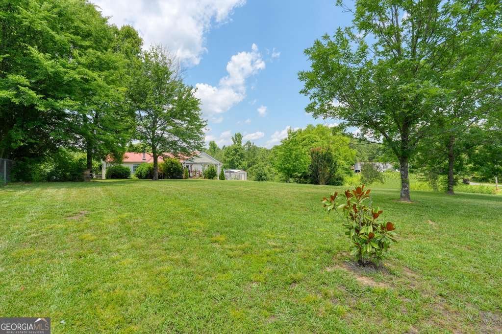3030 Chatsworth Highway 225 Calhoun - Photo 39