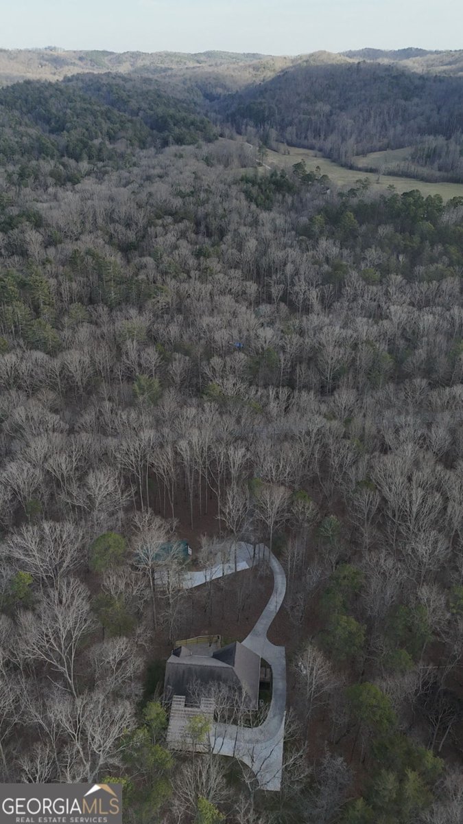 1615 Ben T Huiet Hwy. SR-255 ALT. Clarkesville - Photo 97