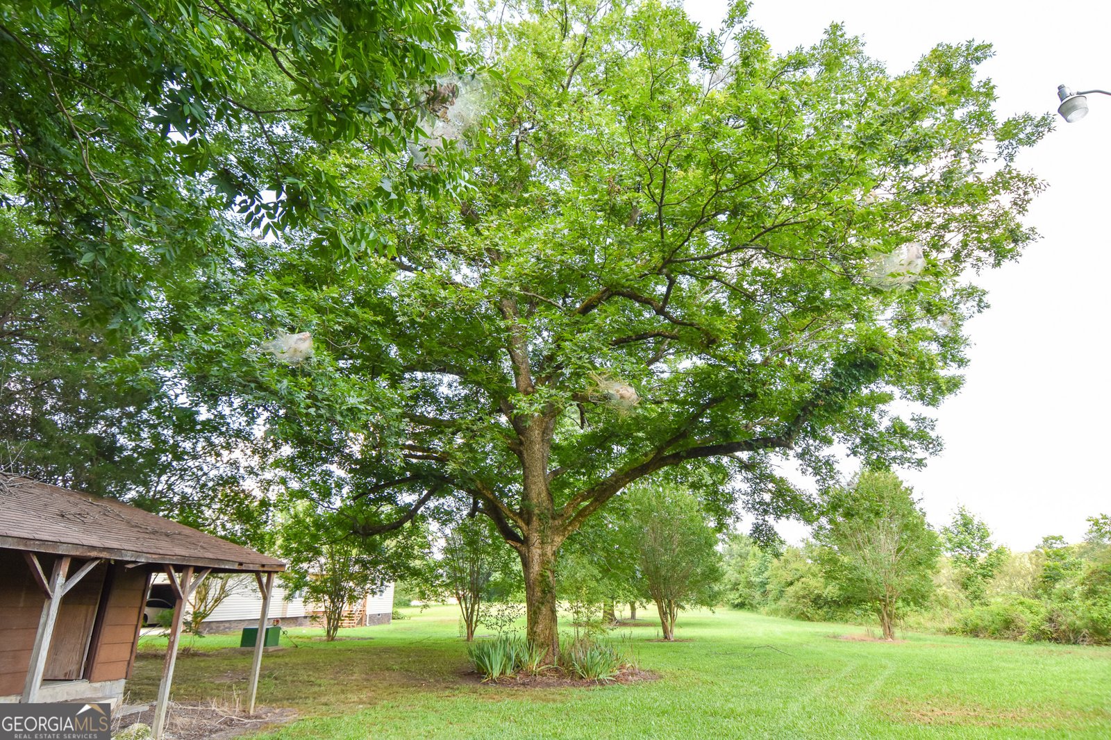12394 Ga Highway 109 Meansville - Photo 72