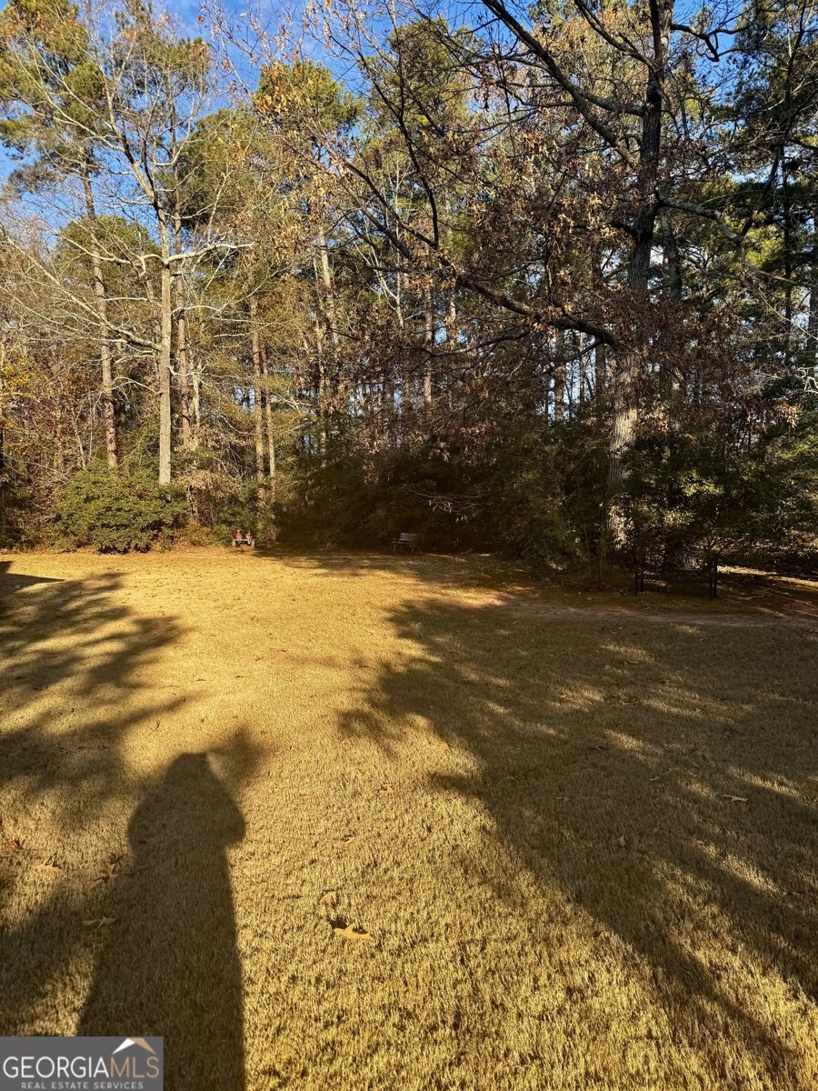 1820 Lancaster Drive Conyers - Photo 34