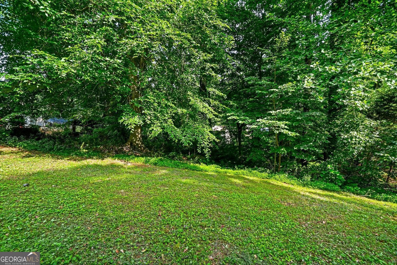 2291 Chevy Chase Lane Decatur - Photo 32