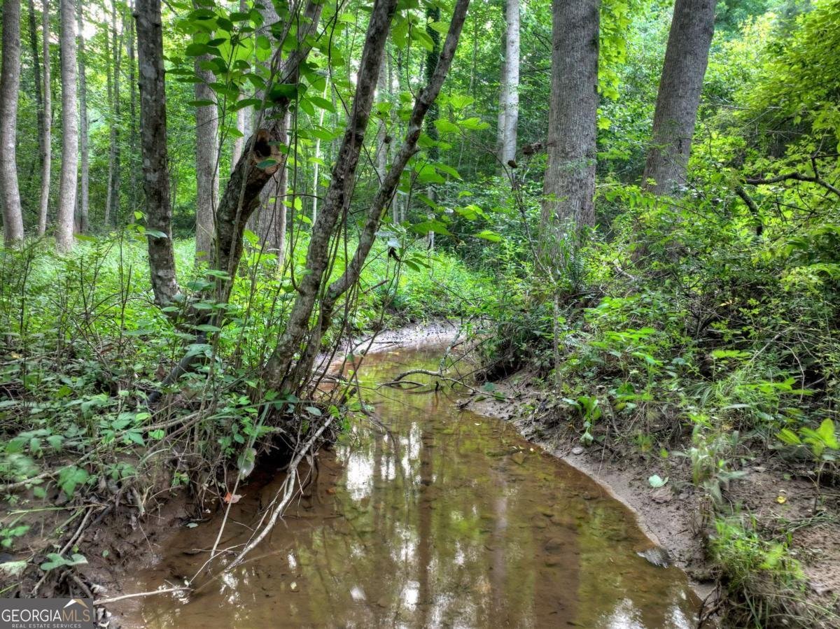 219 Staurolite Mountain Road Blue Ridge - Photo 45