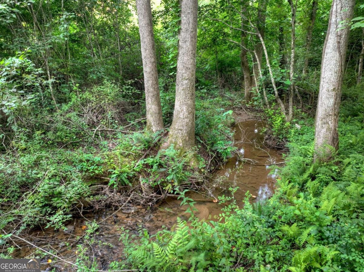 219 Staurolite Mountain Road Blue Ridge - Photo 46