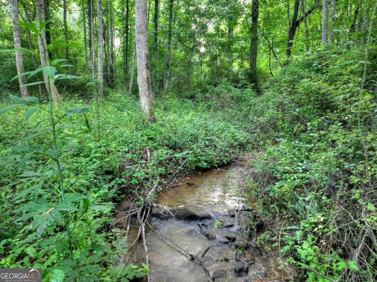 219 Staurolite Mountain Road Blue Ridge - Photo 47