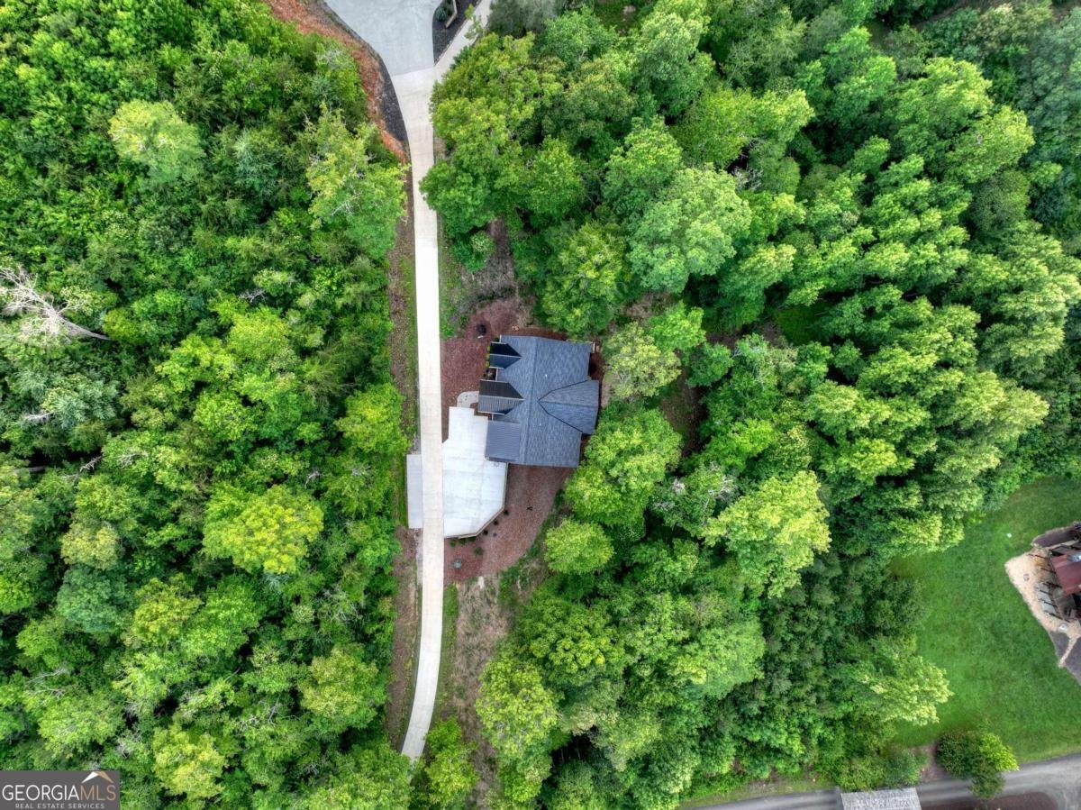 219 Staurolite Mountain Road Blue Ridge - Photo 57