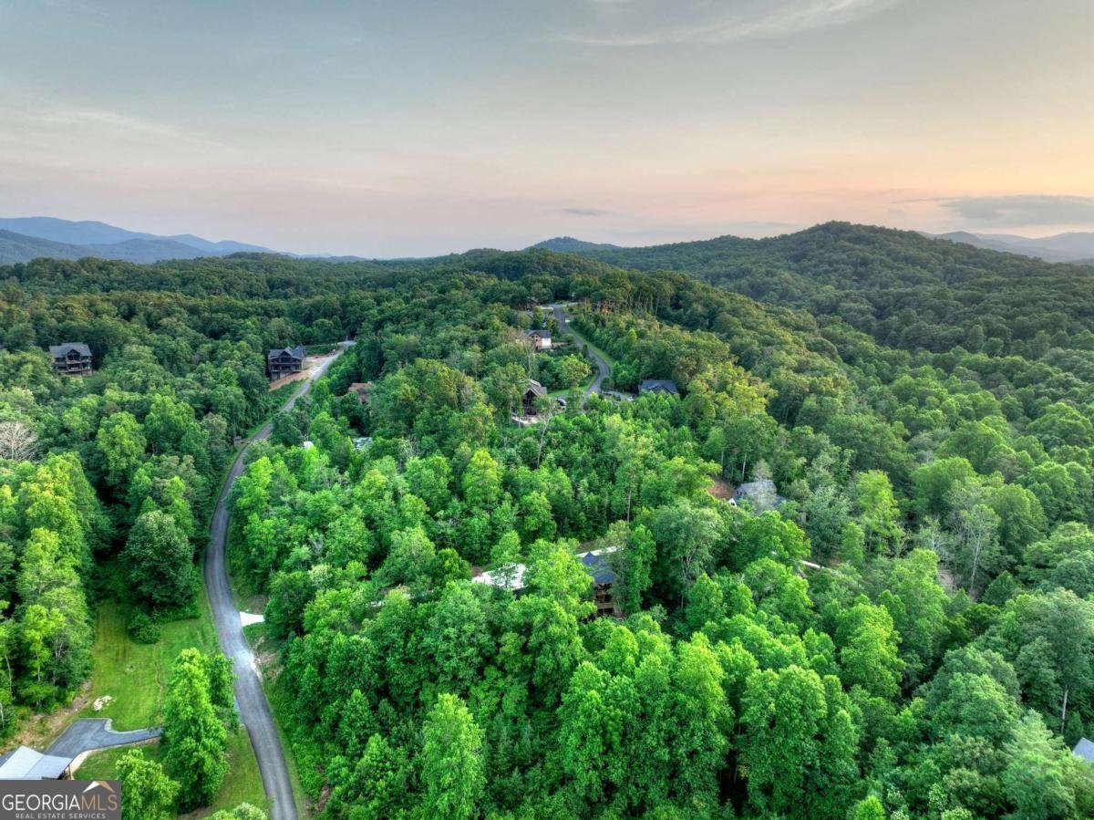 219 Staurolite Mountain Road Blue Ridge - Photo 58