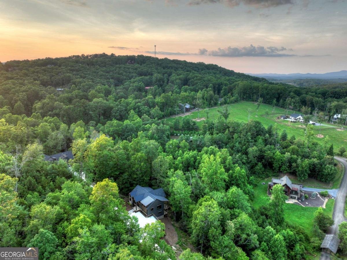 219 Staurolite Mountain Road Blue Ridge - Photo 59
