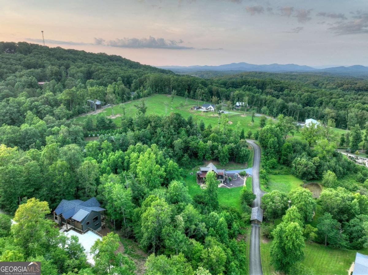 219 Staurolite Mountain Road Blue Ridge - Photo 60