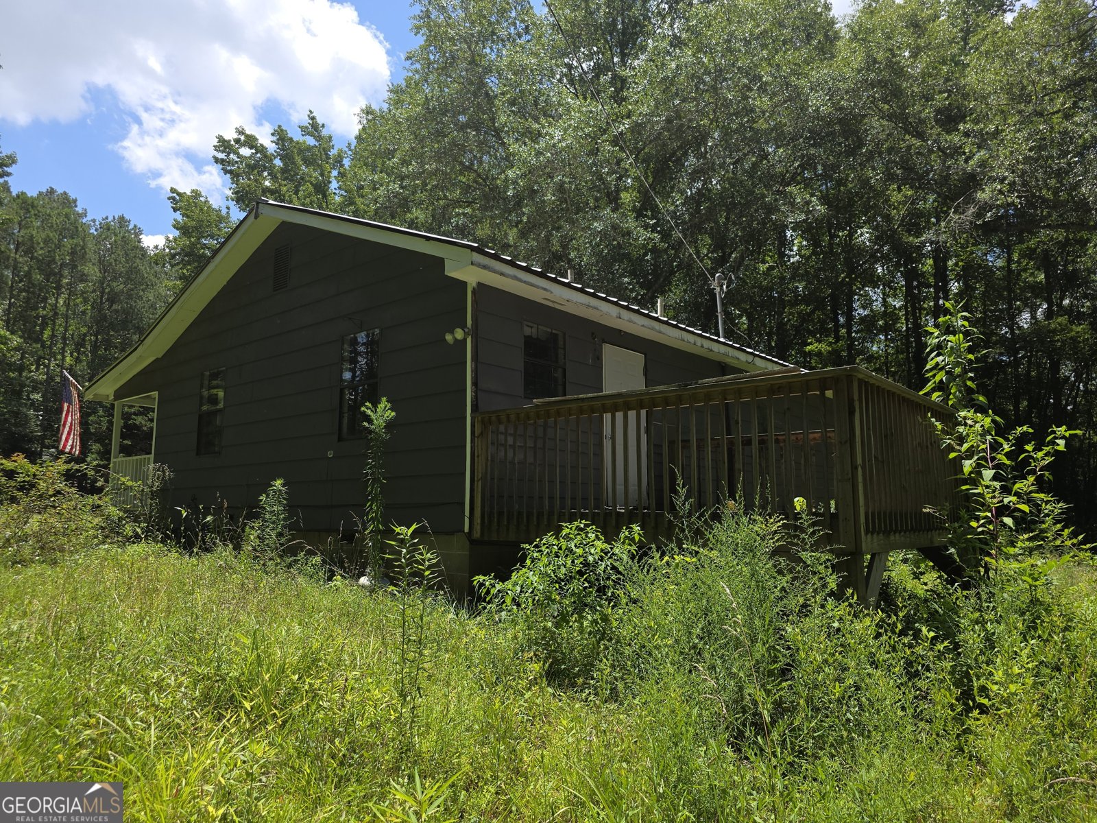 1347 Windom Road Tallapoosa - Photo 18