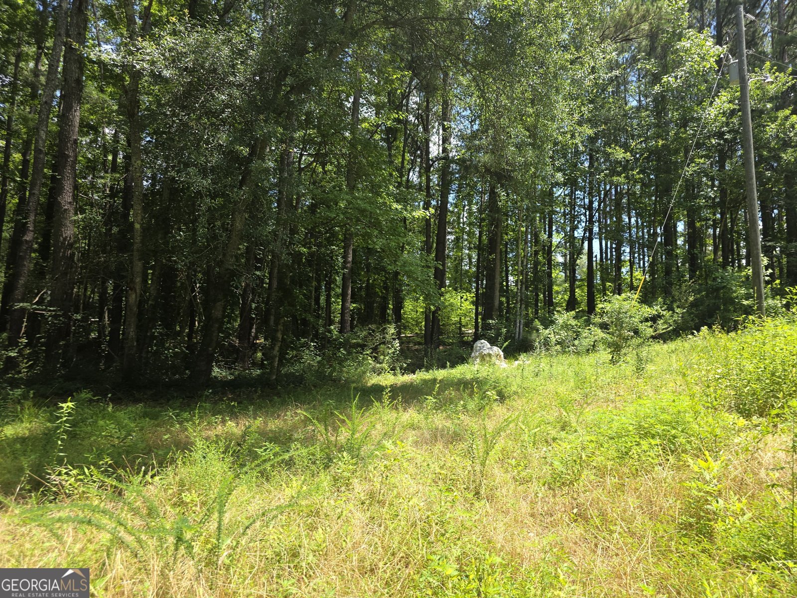 1347 Windom Road Tallapoosa - Photo 24