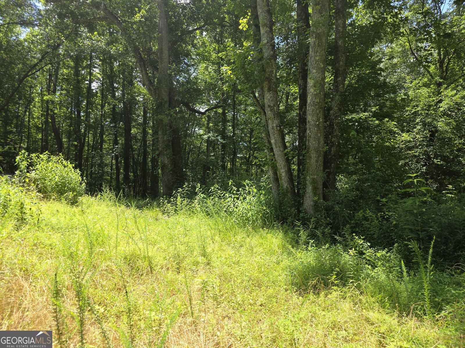 1347 Windom Road Tallapoosa - Photo 28