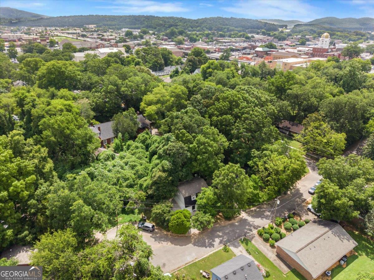 105 Elizabeth Street Cartersville - Photo 51